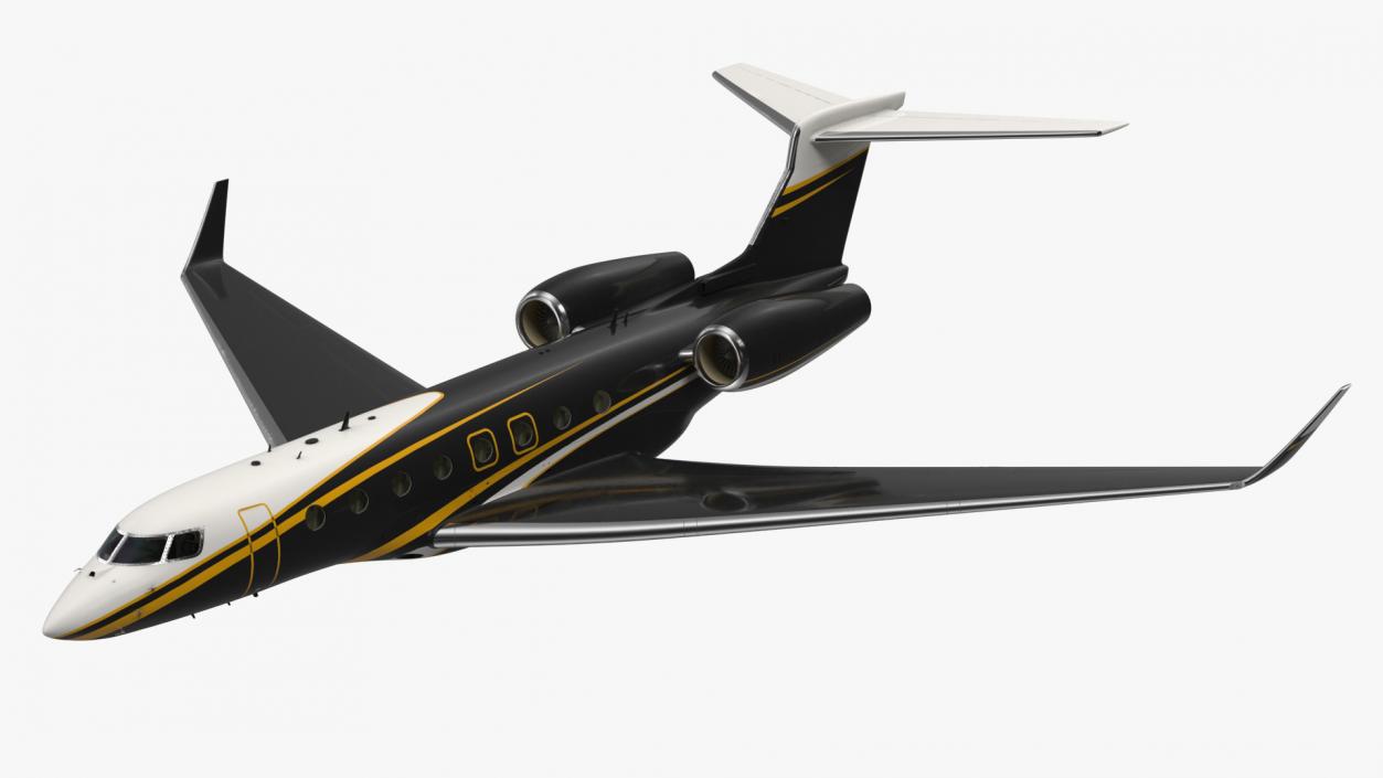 Large Private Jet Flight 3D model