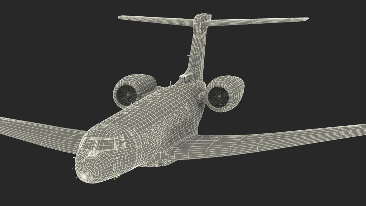 Large Private Jet Flight 3D model