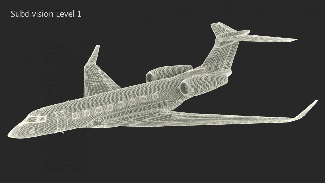 Large Private Jet Flight 3D model