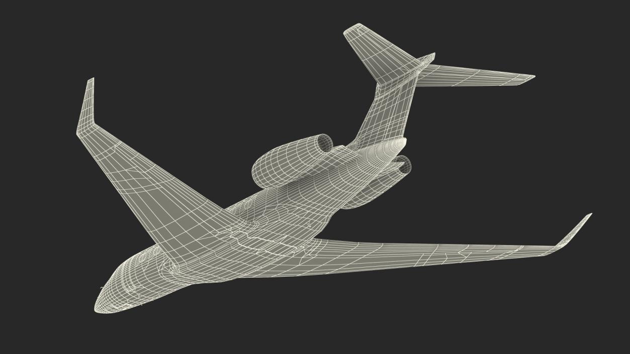 Large Private Jet Flight 3D model