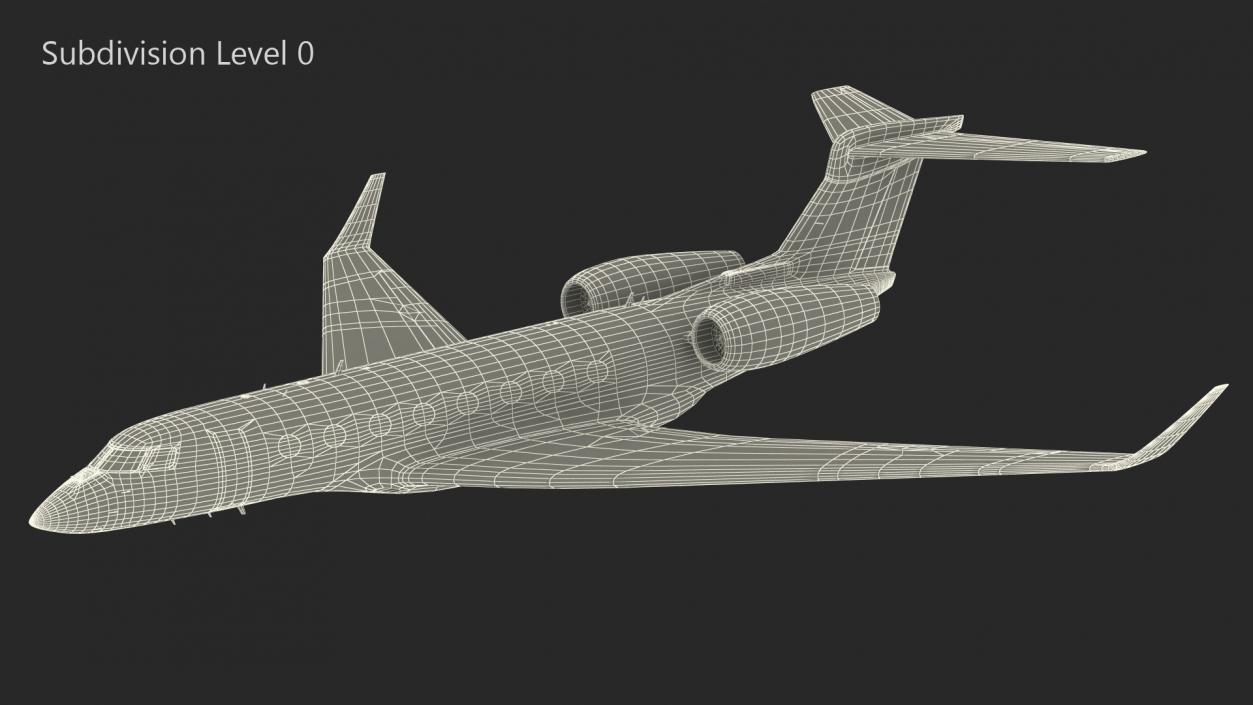 Large Private Jet Flight 3D model