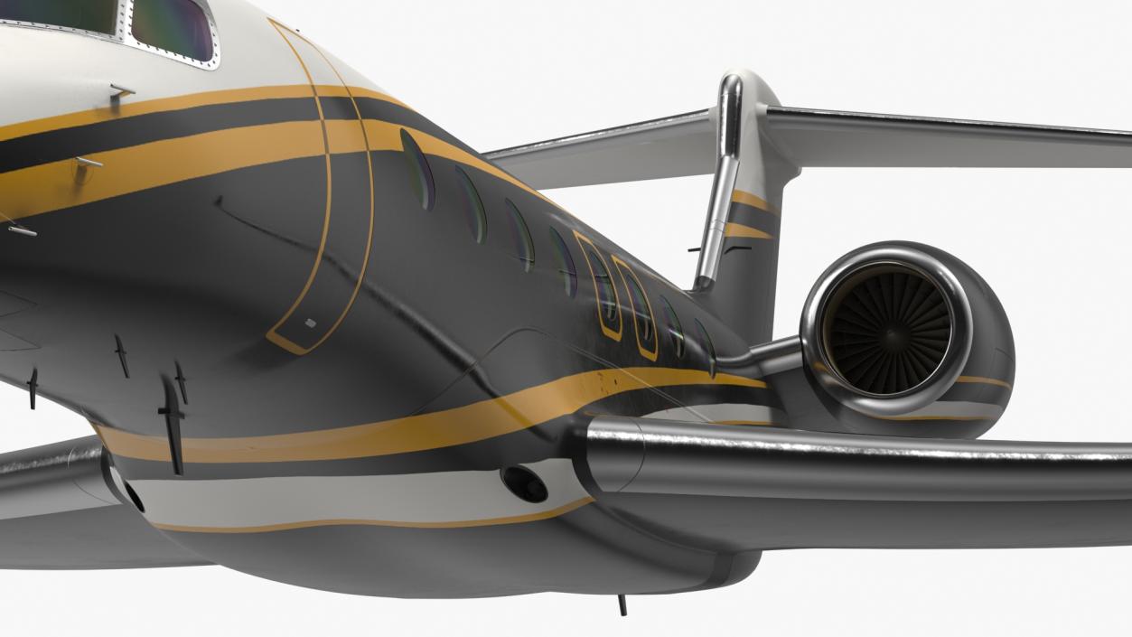 Large Private Jet Flight 3D model