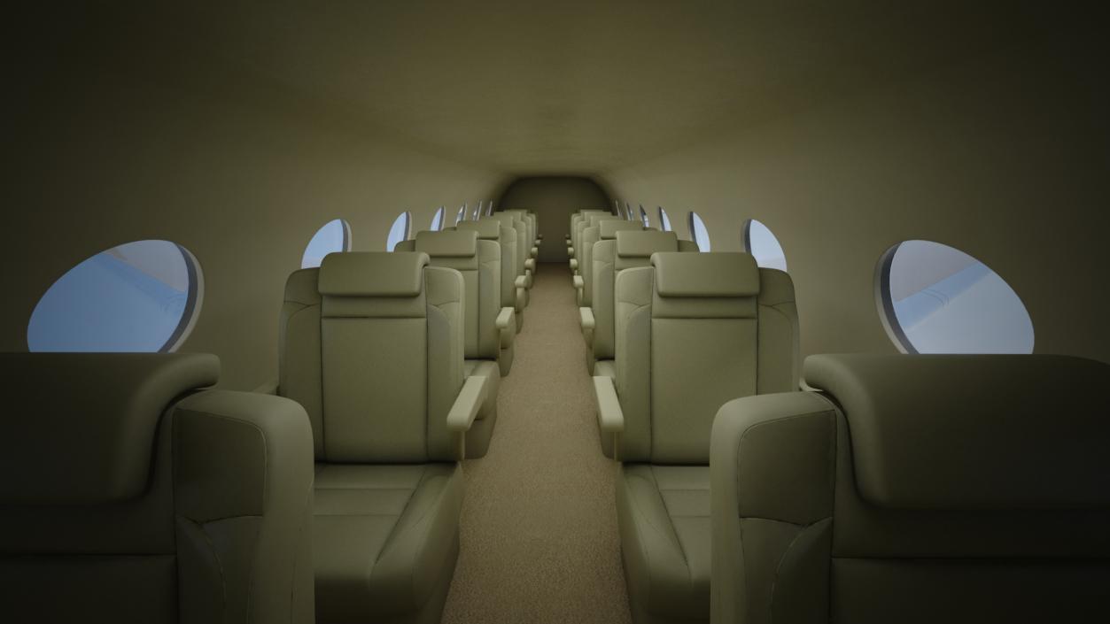 Large Private Jet Flight 3D model