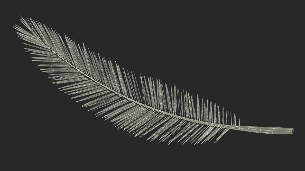 3D Palm Branch