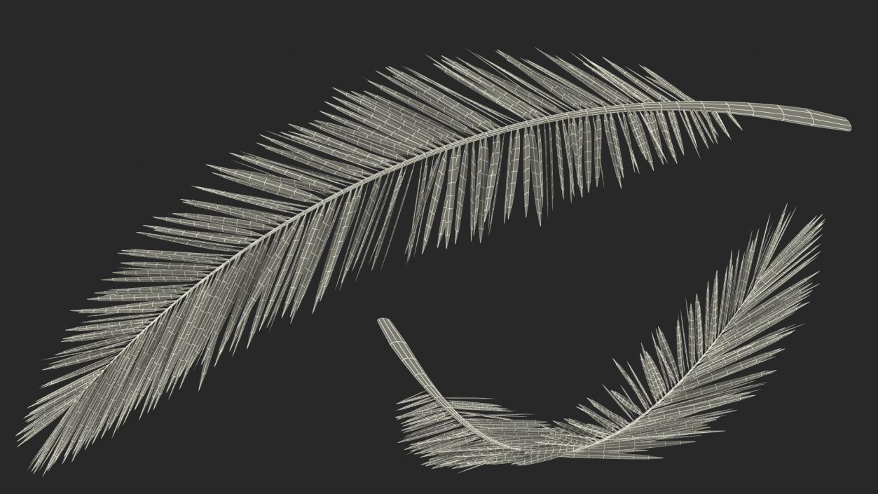 3D Palm Branch