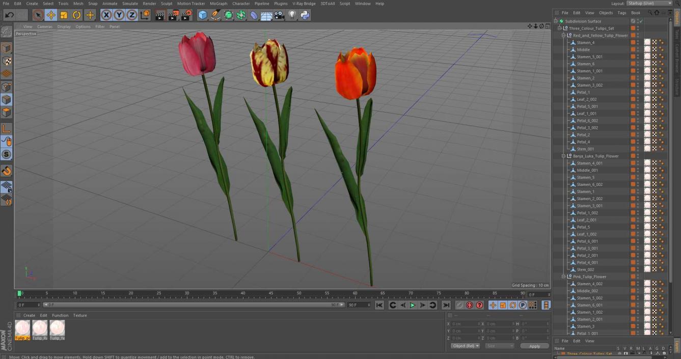 3D Three Colour Tulips Set model