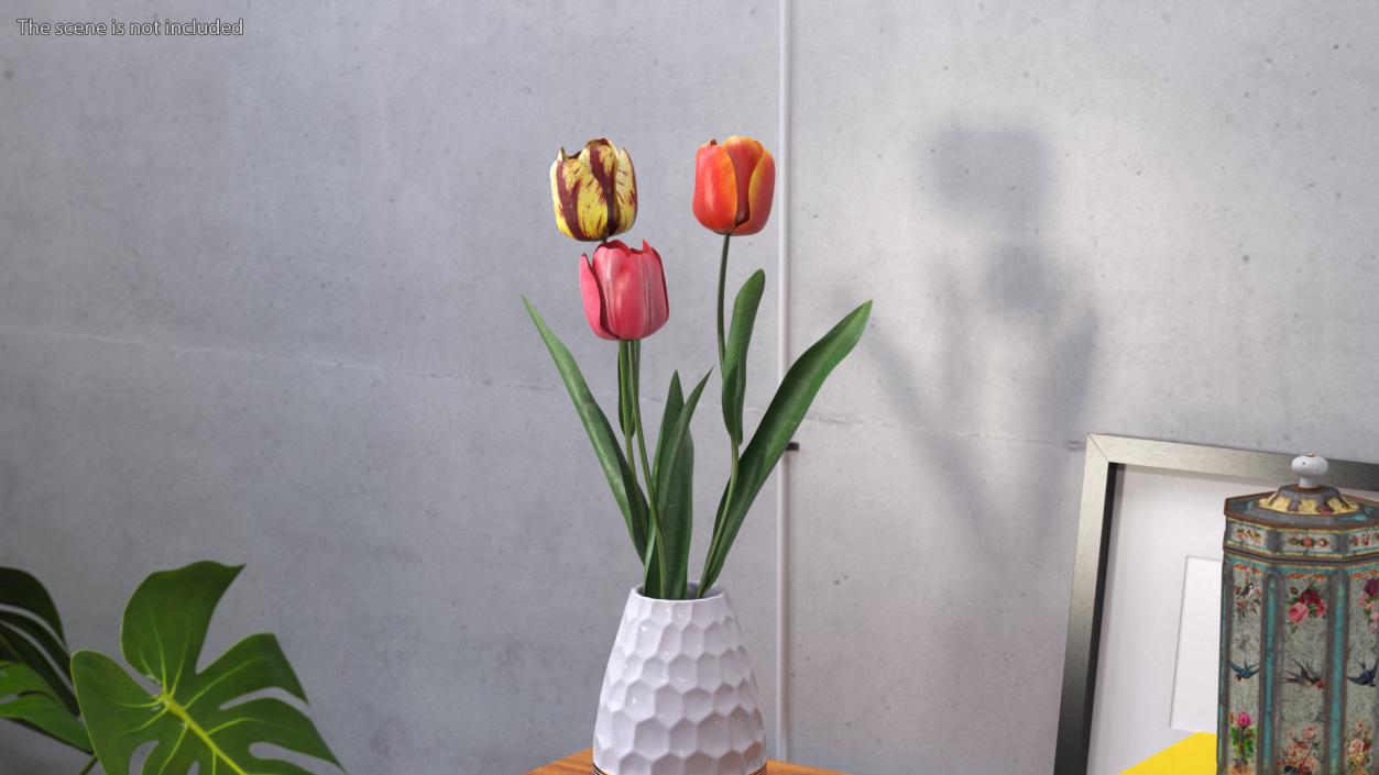 3D Three Colour Tulips Set model