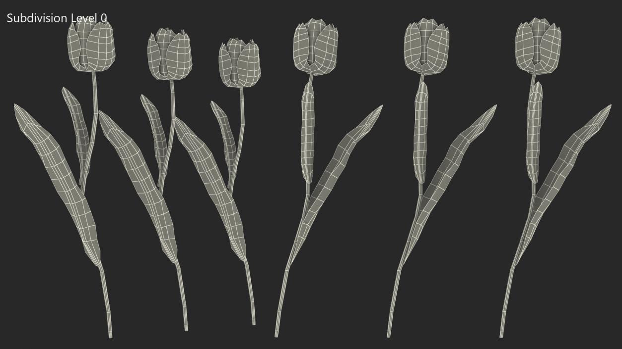 3D Three Colour Tulips Set model