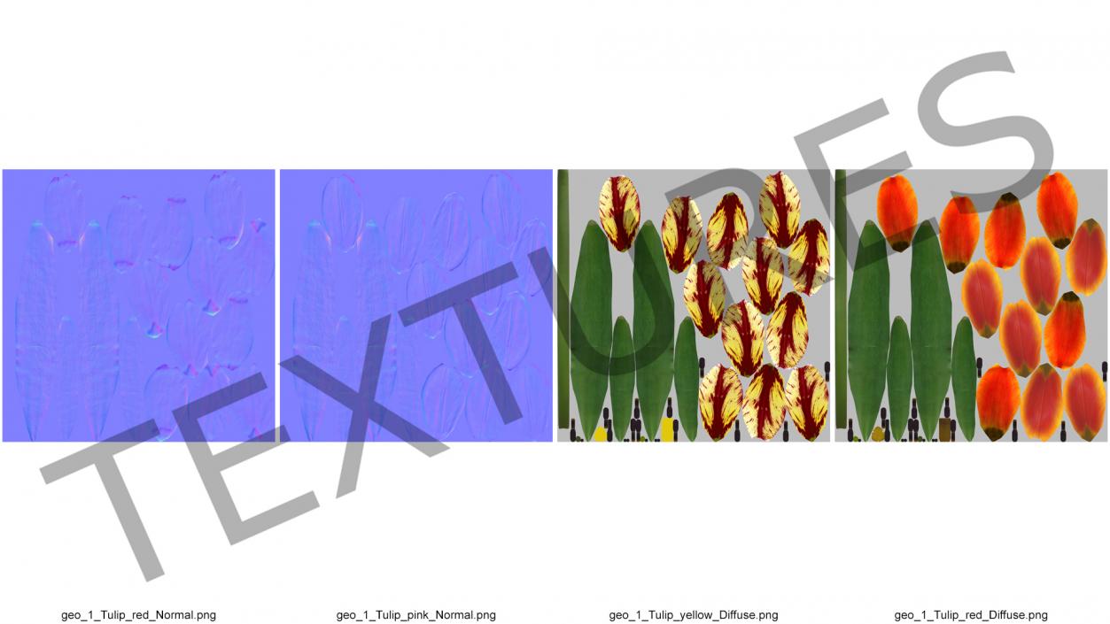 3D Three Colour Tulips Set model