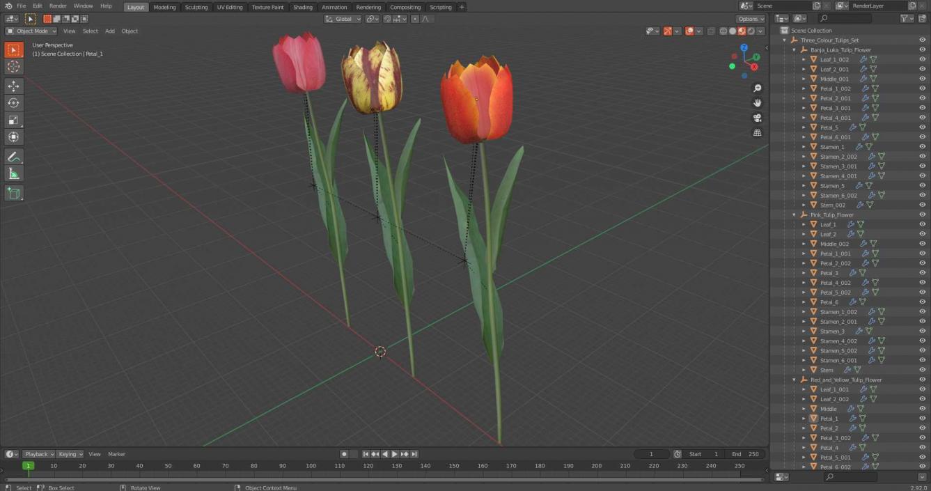 3D Three Colour Tulips Set model