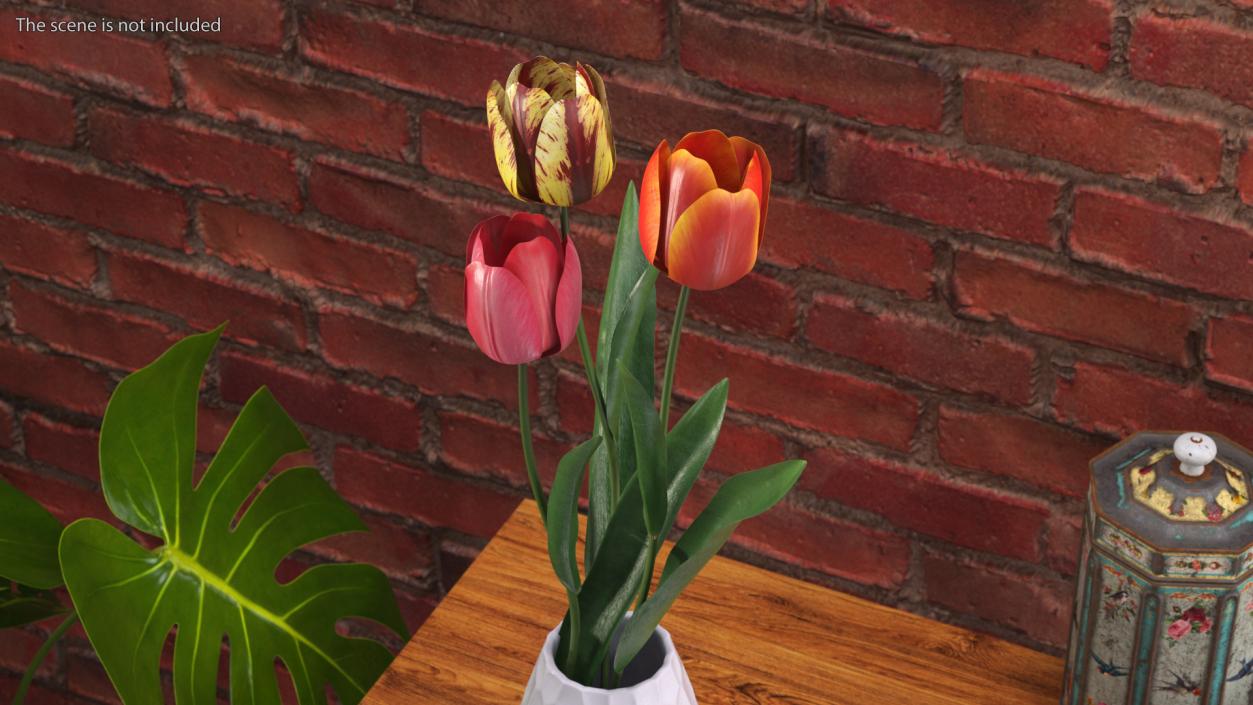 3D Three Colour Tulips Set model