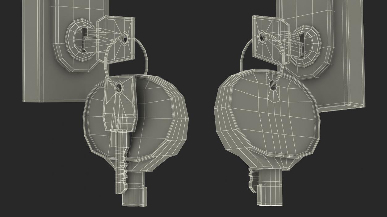 Network Server Keys with Lock 3D model