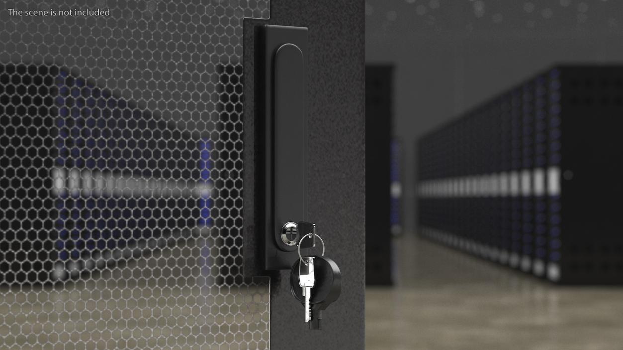 Network Server Keys with Lock 3D model