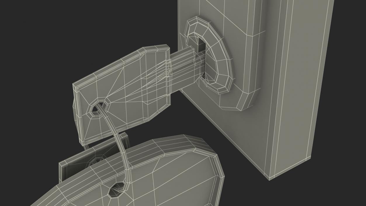 Network Server Keys with Lock 3D model