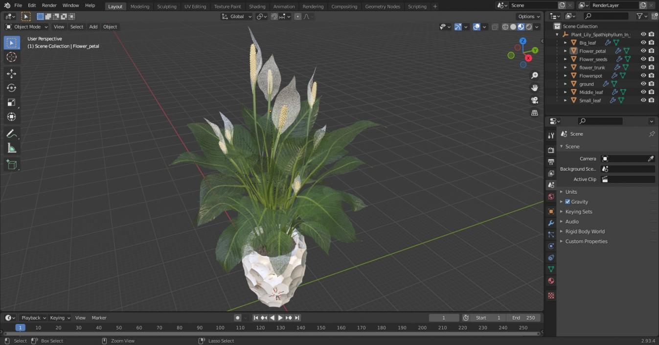 Plant Lily Spathiphyllum In Ceramic Pot 3D model