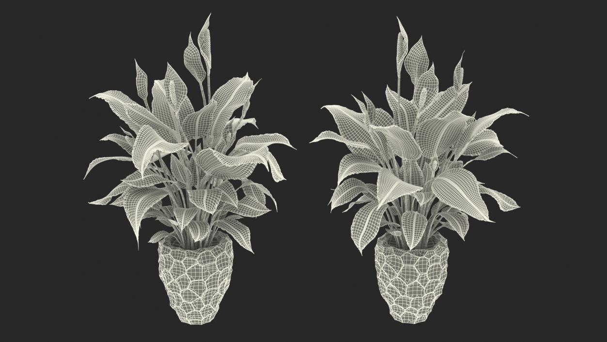 Plant Lily Spathiphyllum In Ceramic Pot 3D model