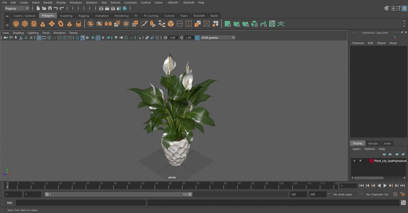 Plant Lily Spathiphyllum In Ceramic Pot 3D model