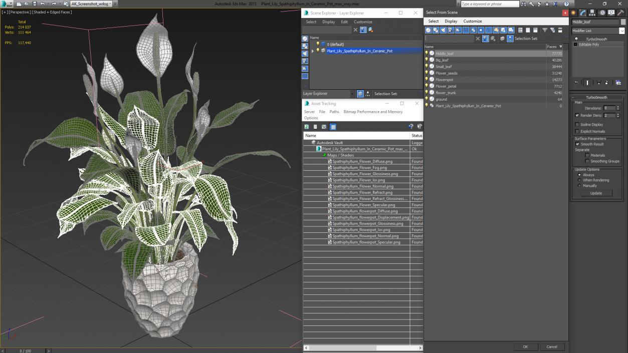 Plant Lily Spathiphyllum In Ceramic Pot 3D model