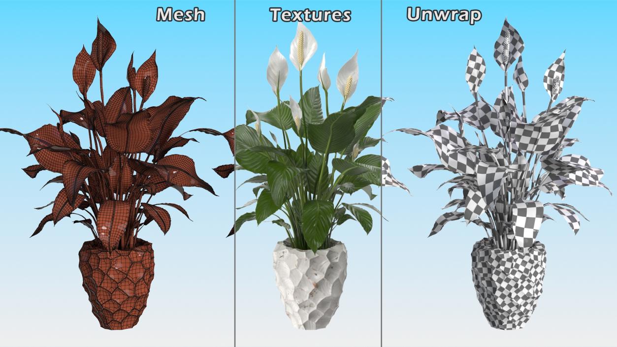 Plant Lily Spathiphyllum In Ceramic Pot 3D model