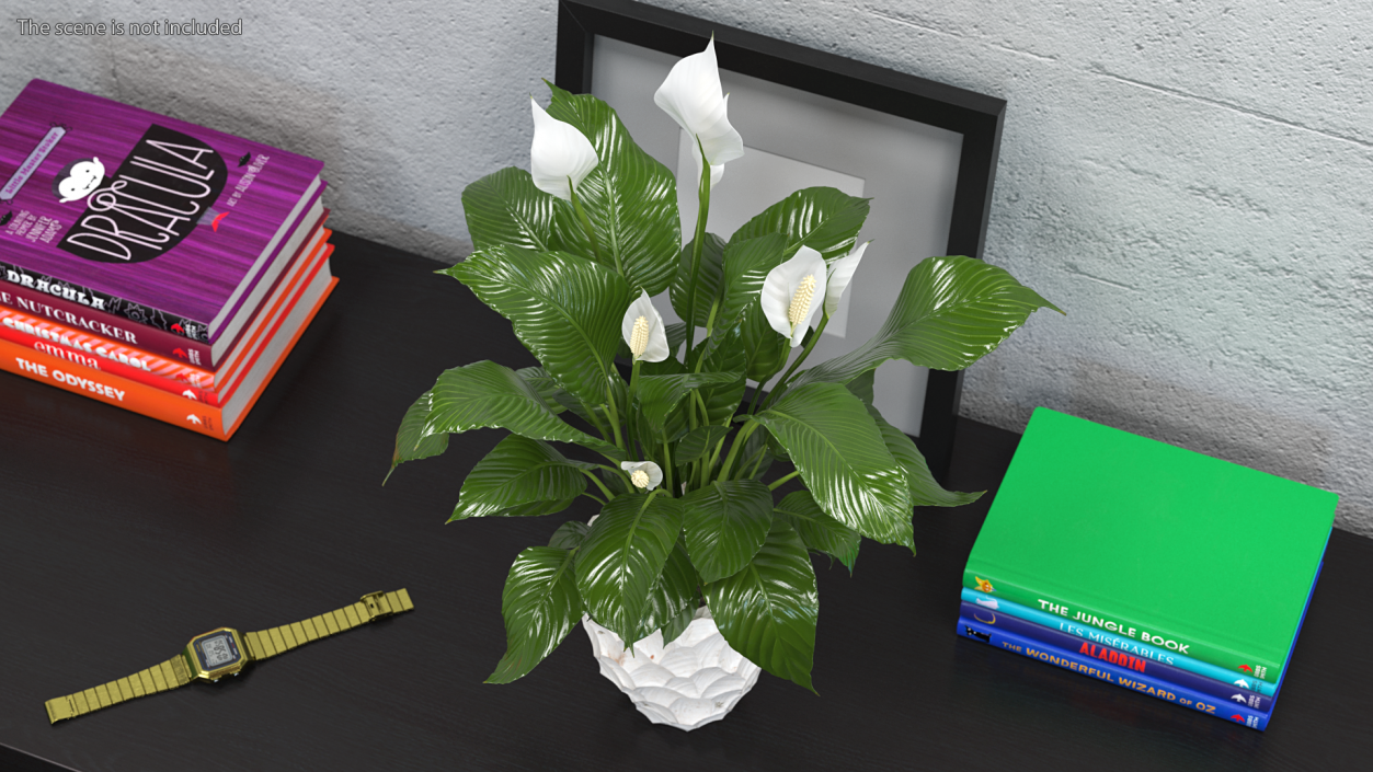 Plant Lily Spathiphyllum In Ceramic Pot 3D model