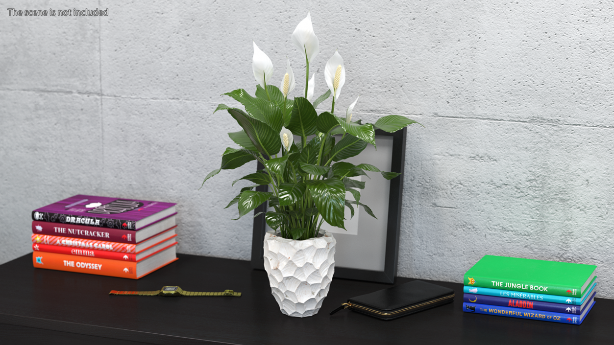 Plant Lily Spathiphyllum In Ceramic Pot 3D model