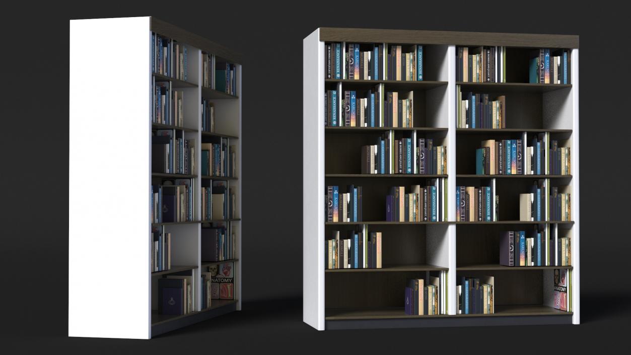 3D model Large Bookshelf