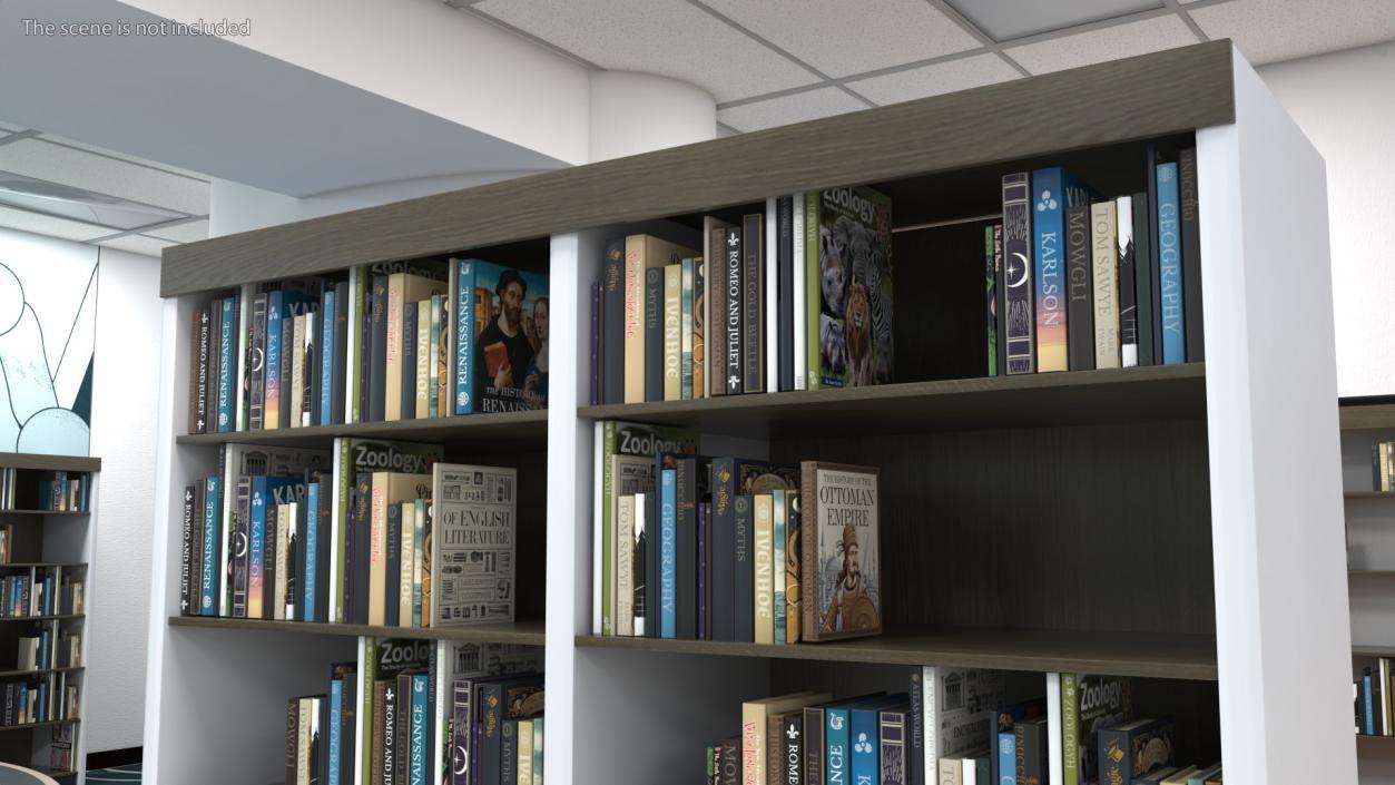 3D model Large Bookshelf