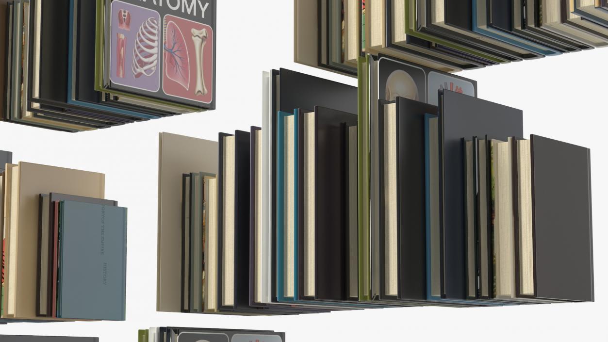 3D model Large Bookshelf