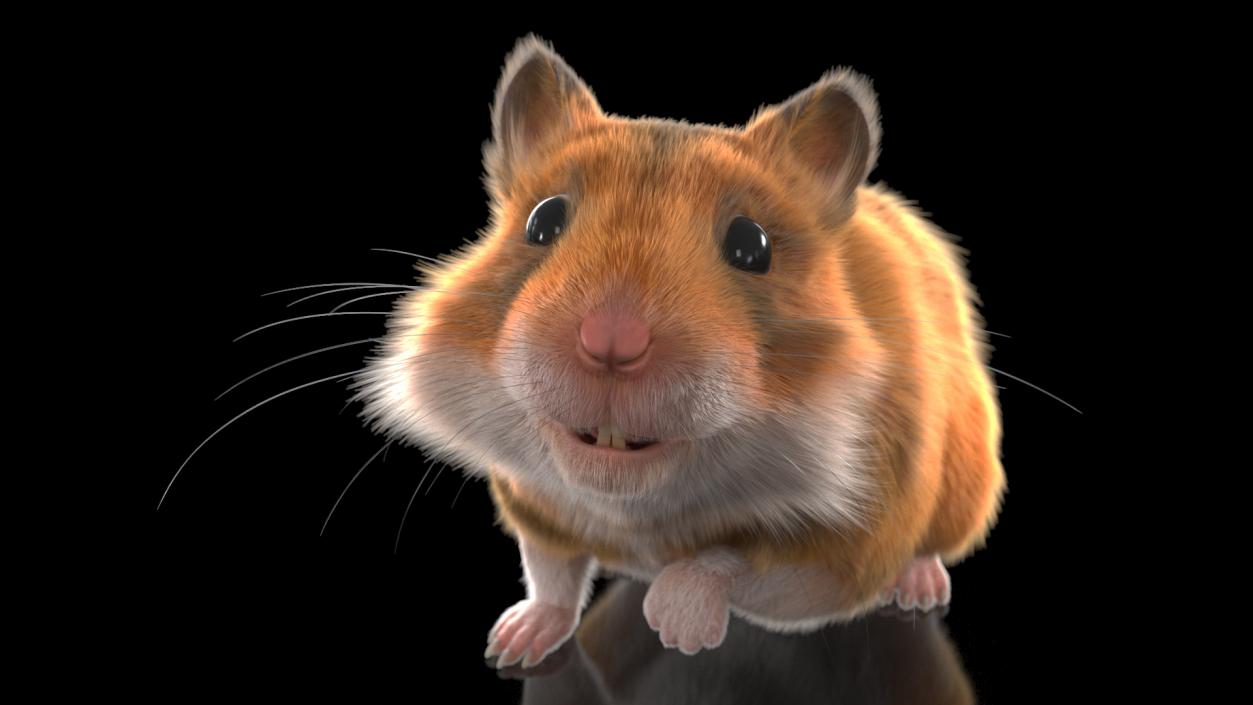 3D Golden Hamster Rigged