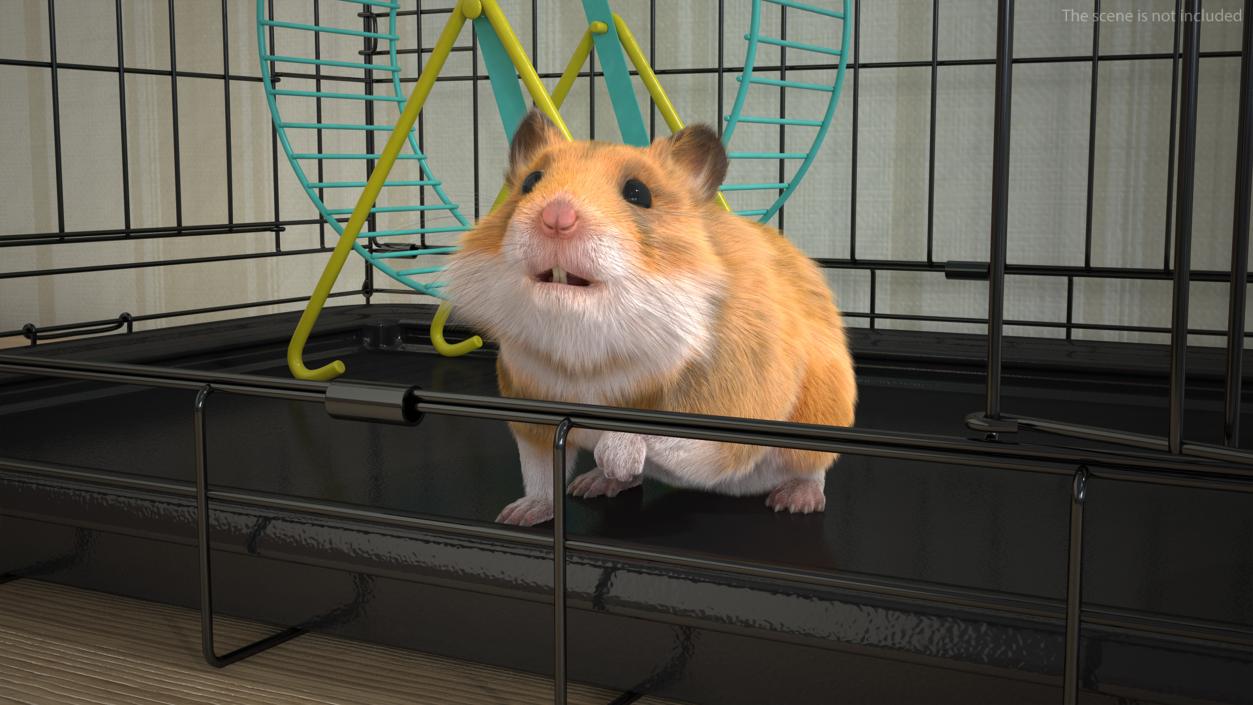 3D Golden Hamster Rigged