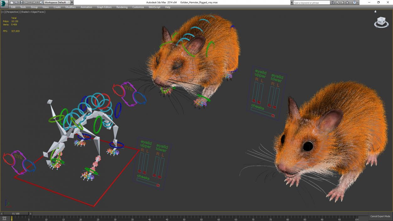 3D Golden Hamster Rigged