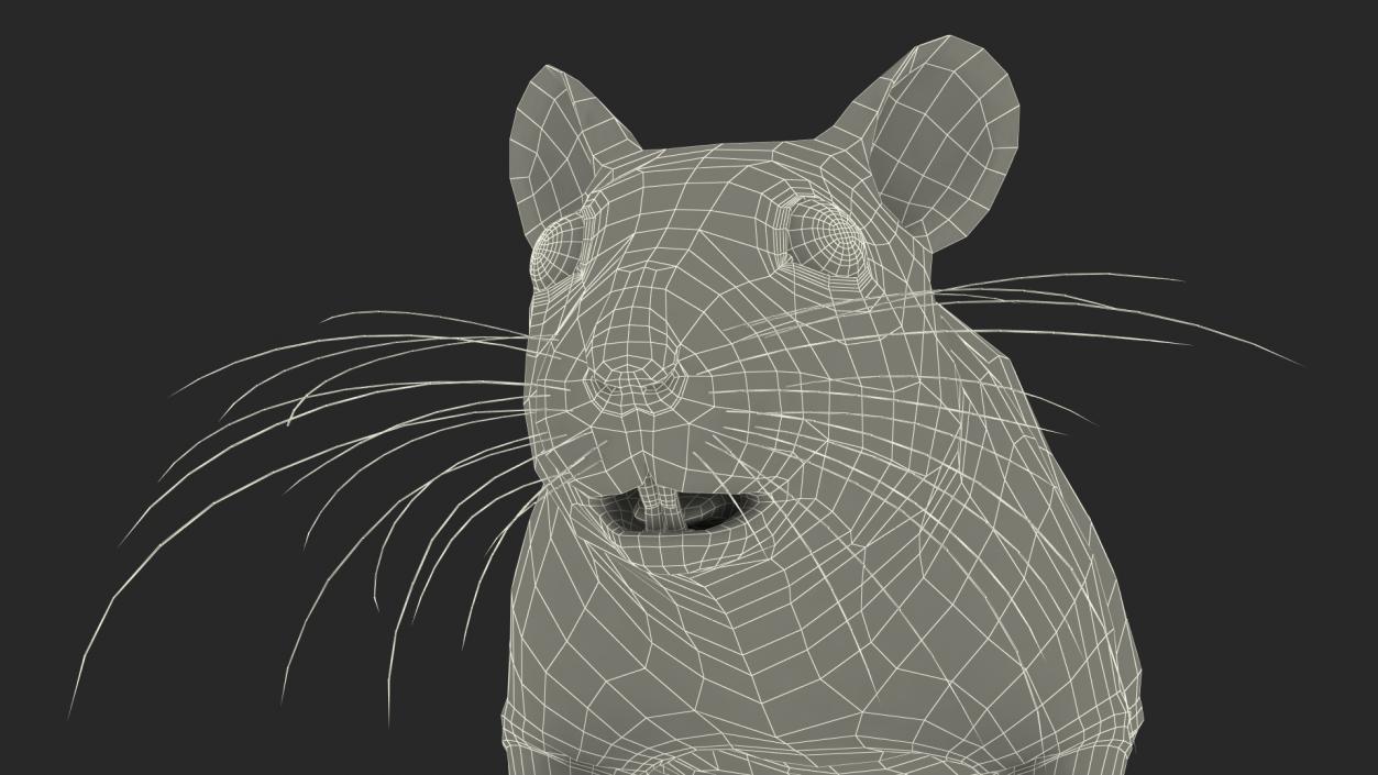 3D Golden Hamster Rigged