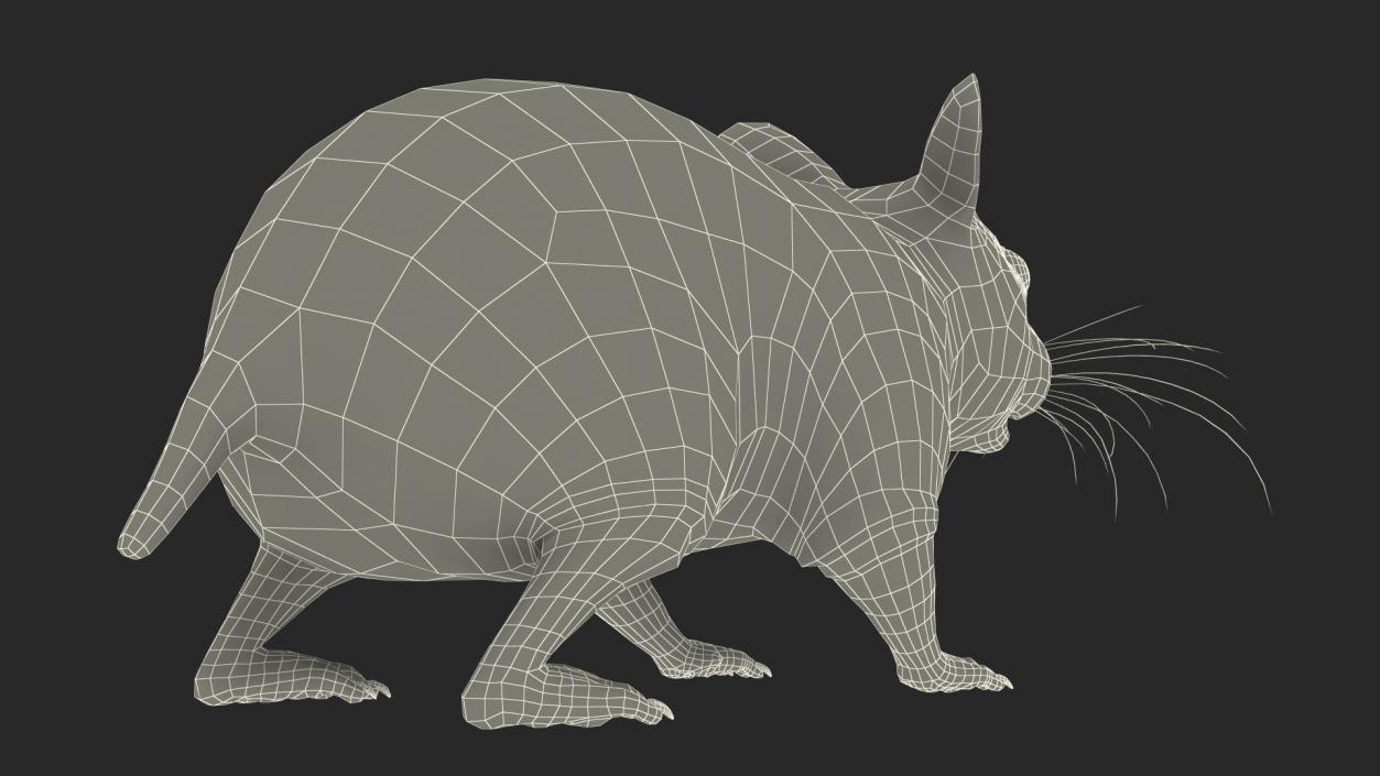 3D Golden Hamster Rigged