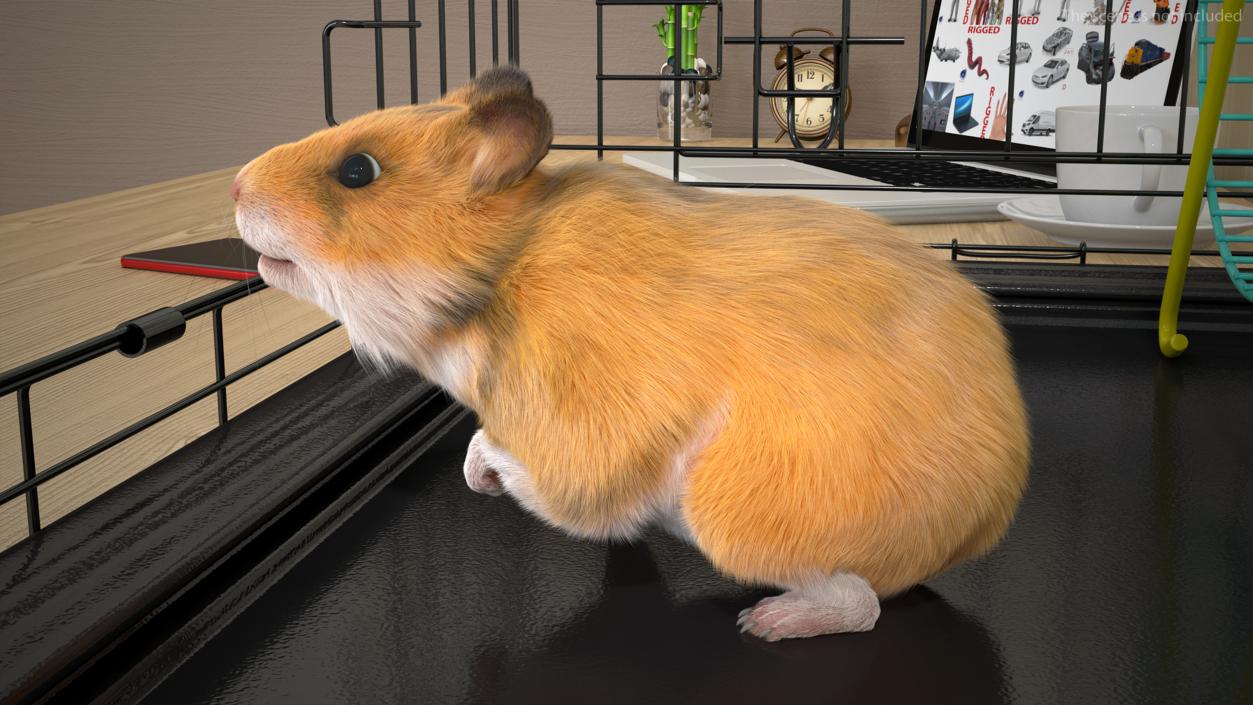 3D Golden Hamster Rigged