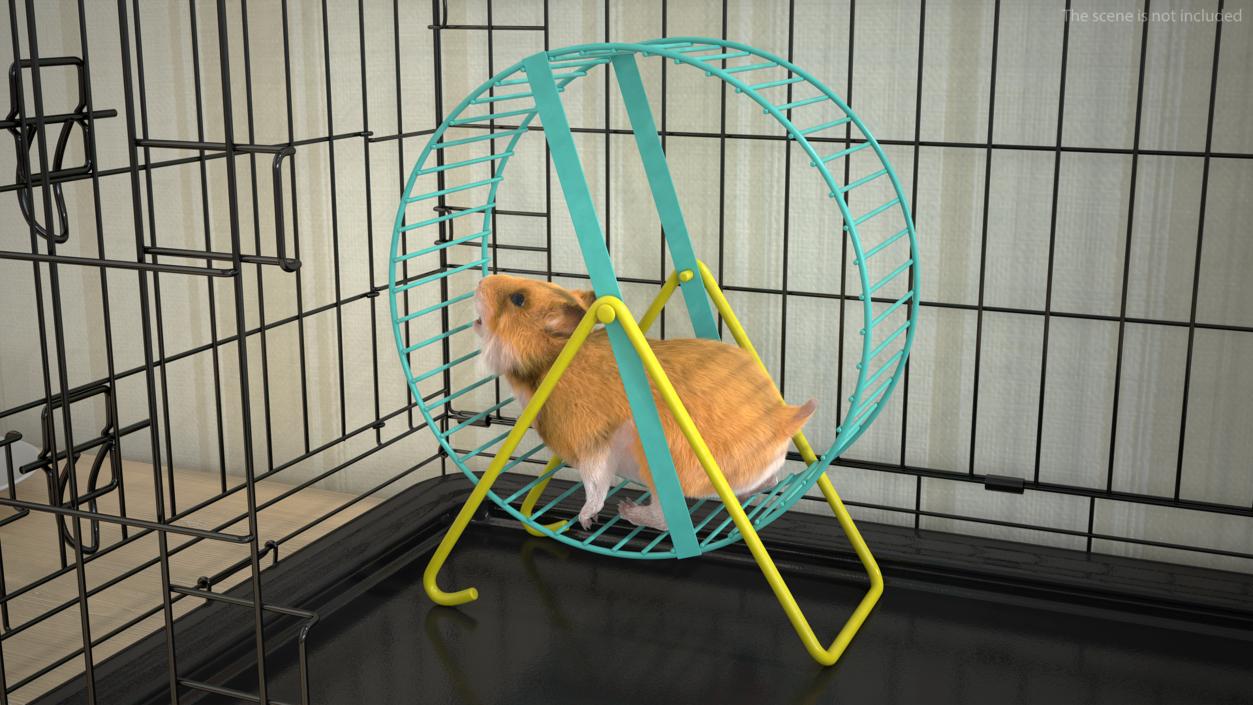 3D Golden Hamster Rigged