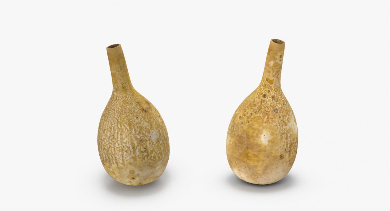 3D model Gourd Water Container Calabash