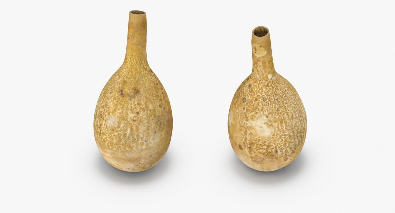 3D model Gourd Water Container Calabash