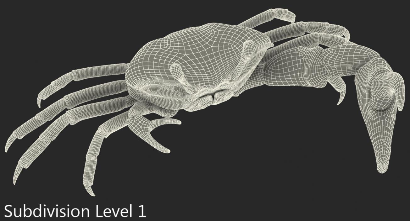 3D model Fiddler Crab Fighting Pose with Fur