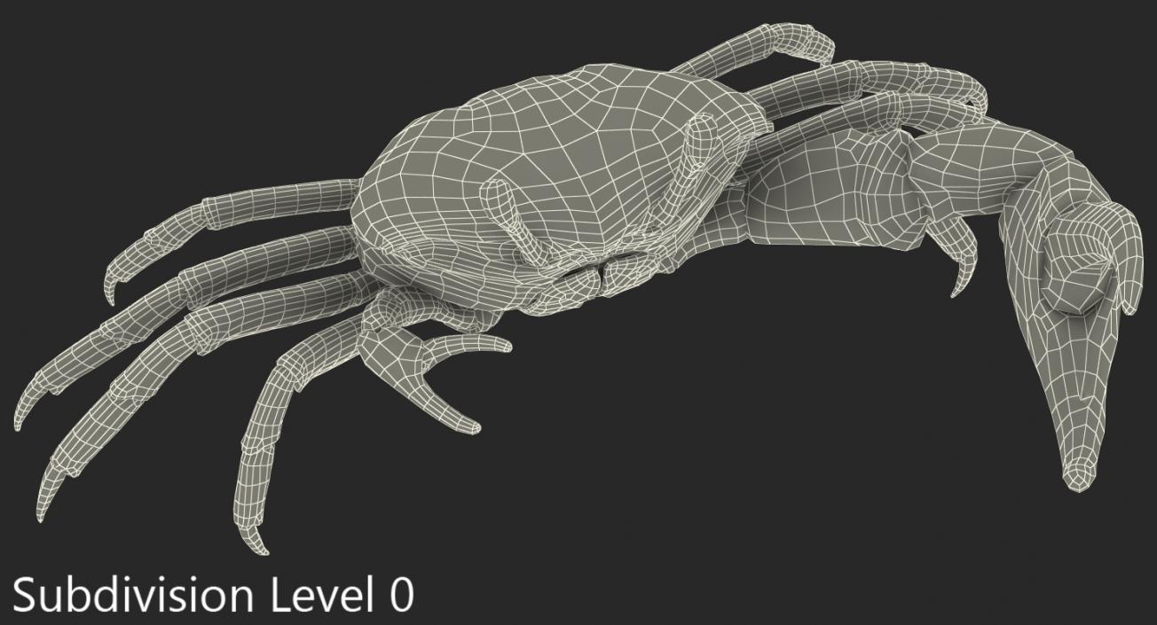 3D model Fiddler Crab Fighting Pose with Fur