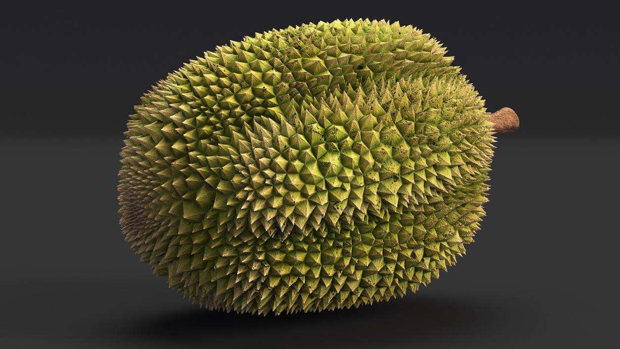 3D Exotic Fruits Collection 8