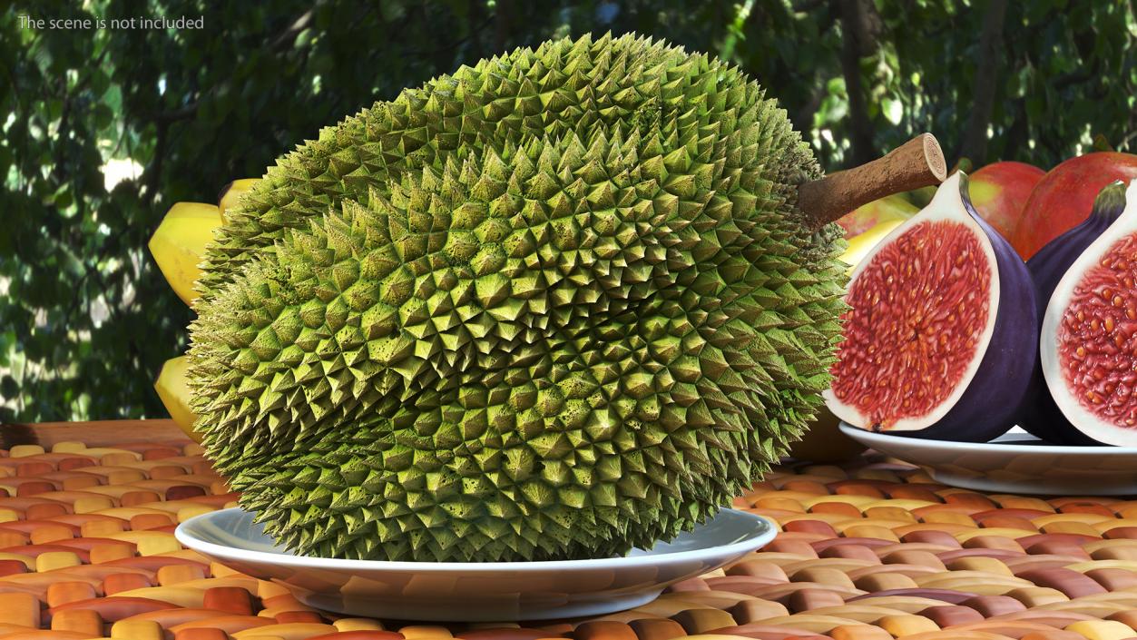 3D Exotic Fruits Collection 8