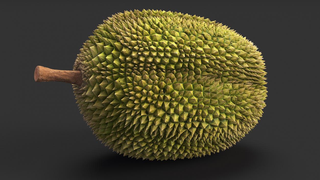 3D Exotic Fruits Collection 8