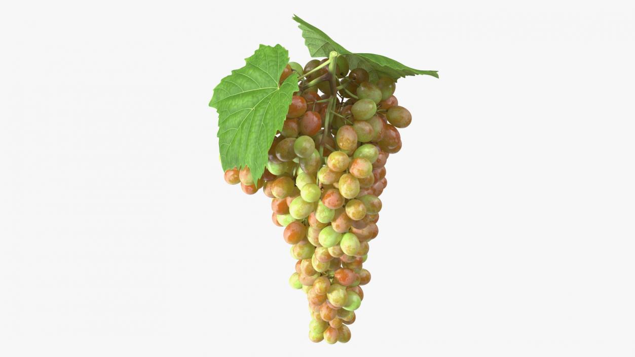 3D Pink Sultana Grape Cluster