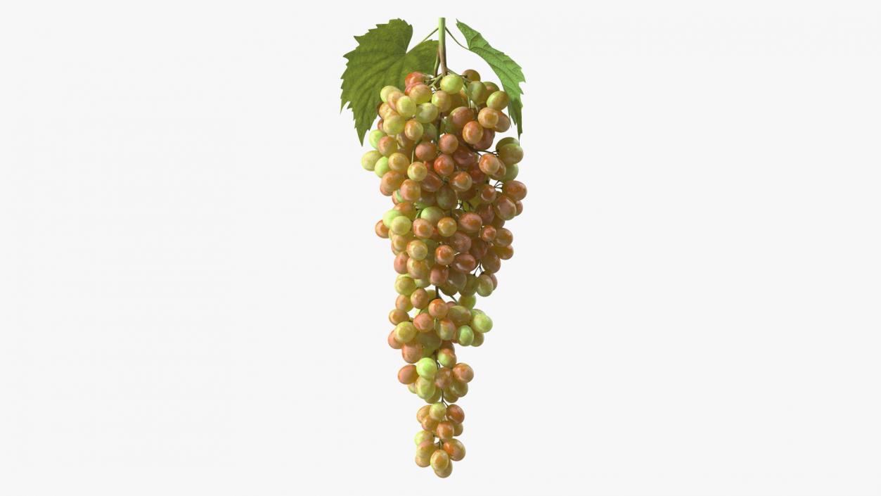 3D Pink Sultana Grape Cluster