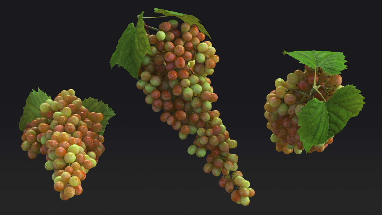 3D Pink Sultana Grape Cluster