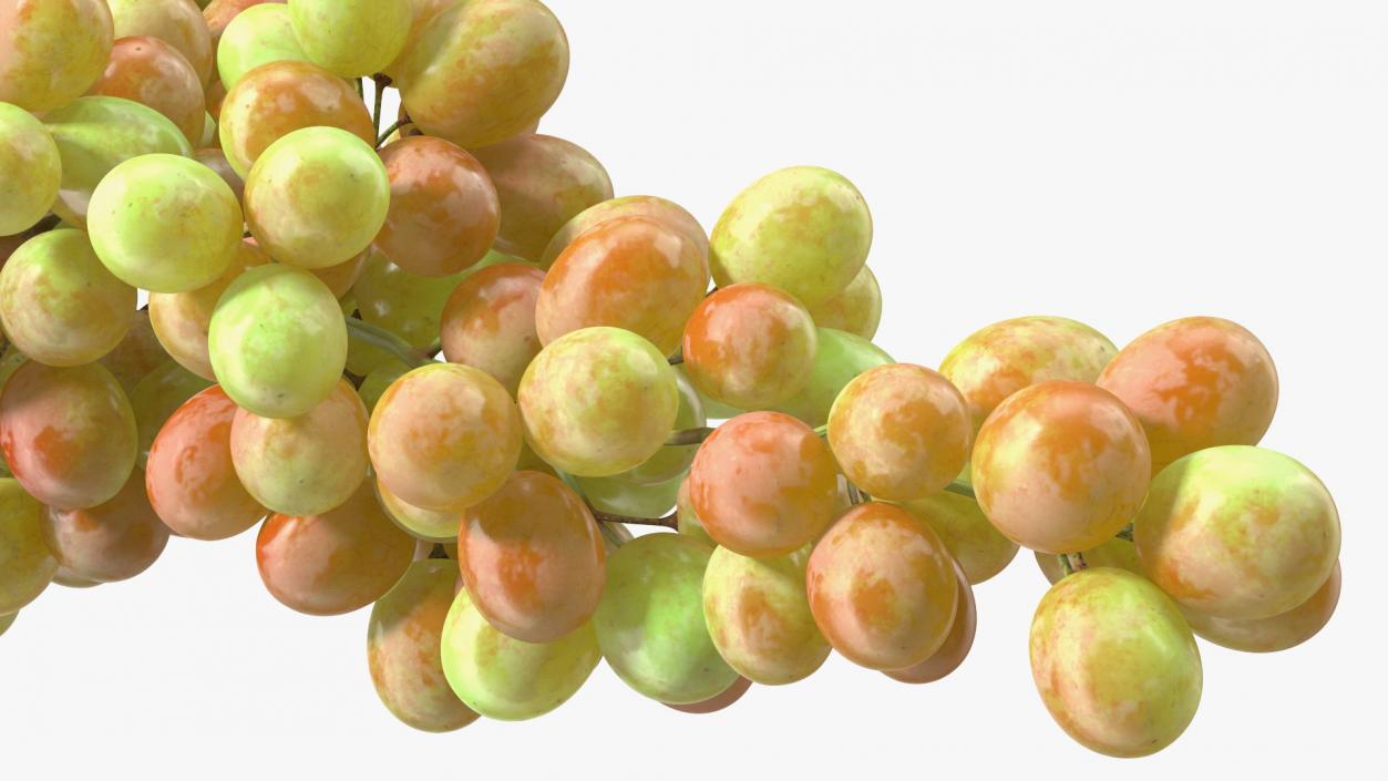 3D Pink Sultana Grape Cluster