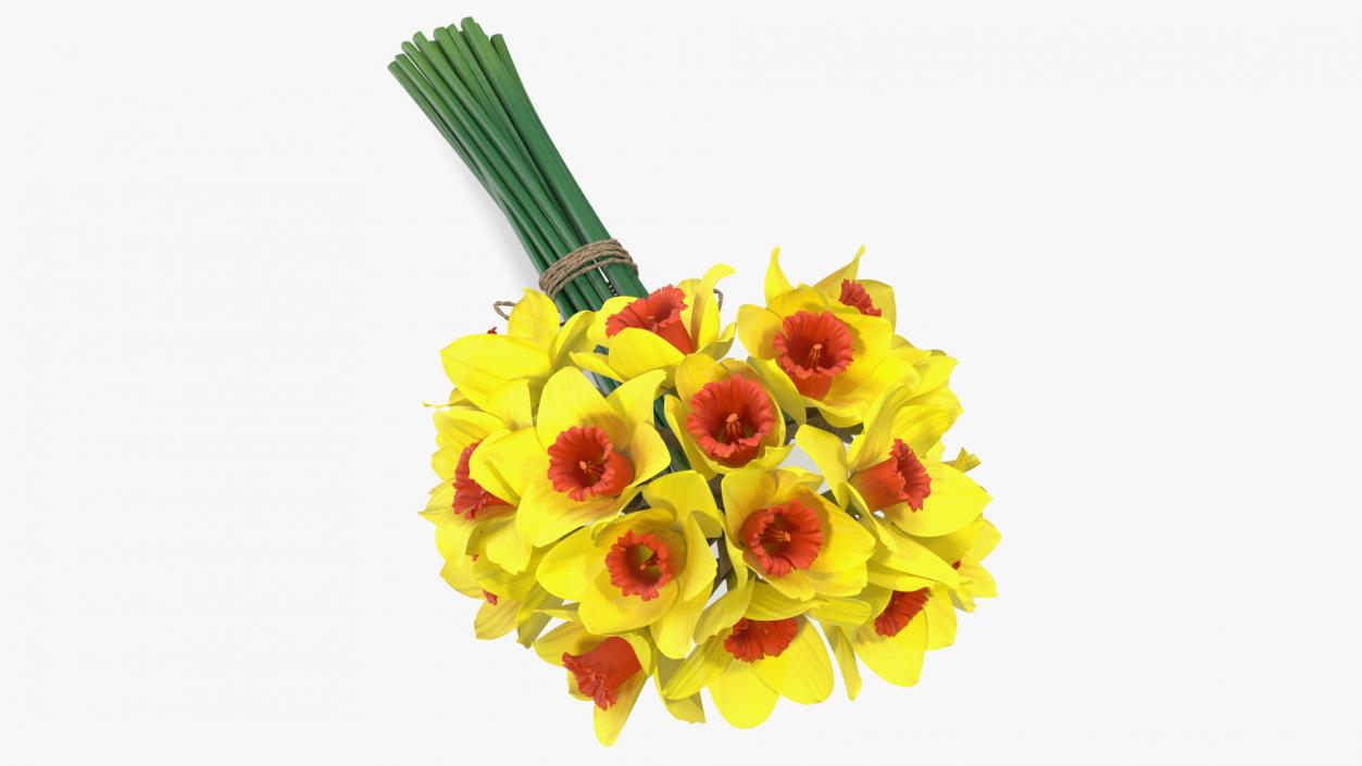 Yellow Daffodils Bouquet 3D model