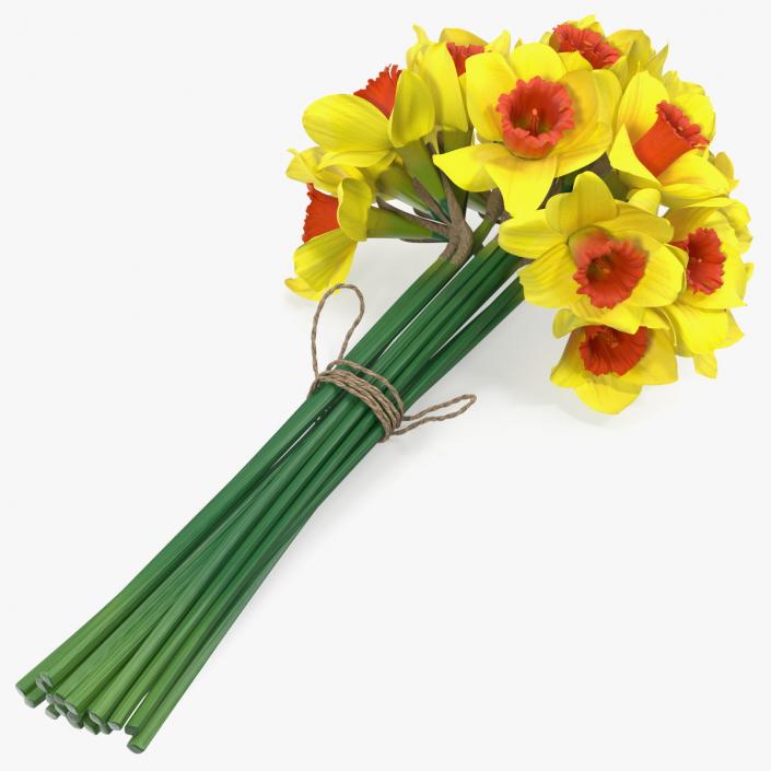 Yellow Daffodils Bouquet 3D model