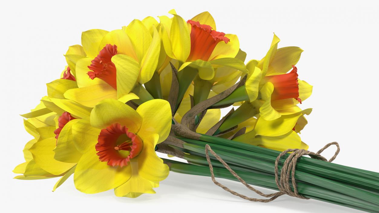 Yellow Daffodils Bouquet 3D model