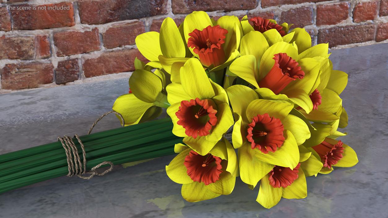 Yellow Daffodils Bouquet 3D model